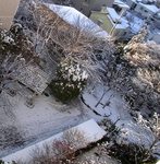 R0032955雪の朝の景色_400.jpg