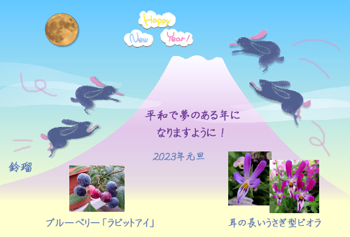 2023Web年賀状富士山に跳びウサギ_500圧縮なし.png