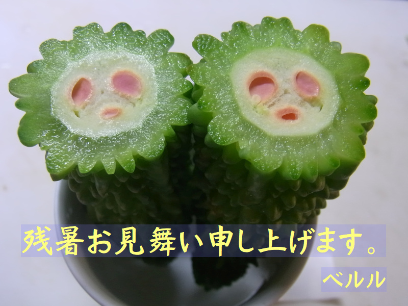 R0045330_20190731ゴーヤNo3残暑お見舞ベルル_800-600.jpg